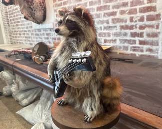 TAXIDERMY RACOON