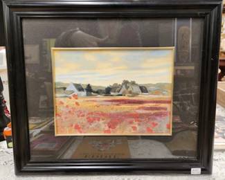 270 CEL Lifetime Collectors