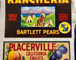 215 CEL Lifetime Collectors