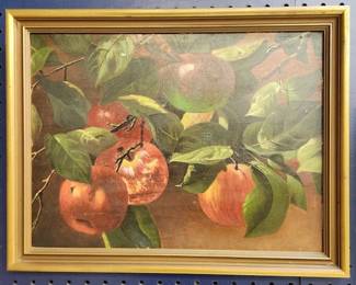 202 CEL Lifetime Collectors