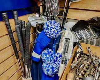 220 CEL Lifetime Collectors