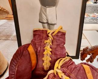 228 CEL Lifetime Collectors