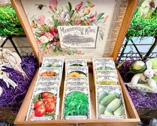 037 CEL Lifetime Collectors