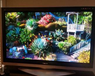 The Panasonic plasma TV has very good picture quality (scene is from 'As the Garden Grows' S1 E1 )