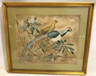 3378 - "Lady Amherst Pheasant" by Roland Framed Print 29 x 34


