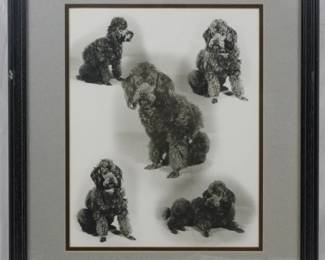 1324 - Frame of Dogs 20x17
