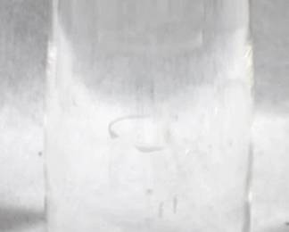 5129 - Glass Paperweight - 9.5" Tall
