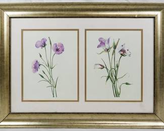 1536 - Unsigned Framed Print 21x28
