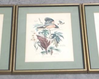 7638 - 3 Framed Prints - 17.5" x 14.5"
