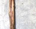 5113 - Walking Stick - 55" Long
