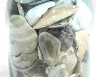 8371 - Ball Jar w / Seashells - 9" Tall

