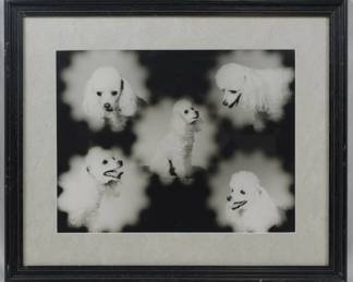1323 - Frame of Dogs 15.5x18.5
