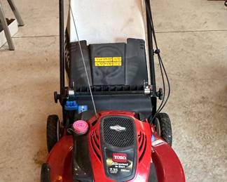 Toro Self- Propelled 22” Recycler