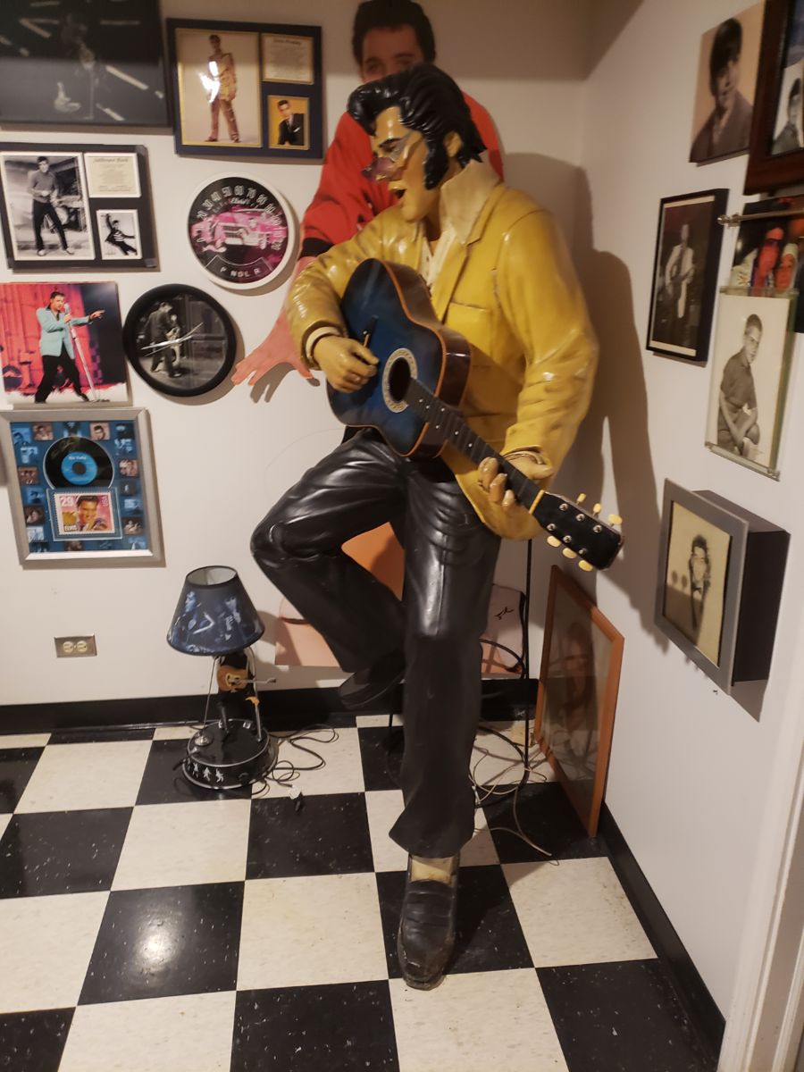 Elvis is alive and ready to rock