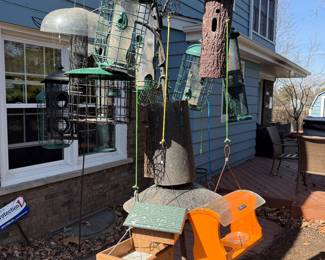 More bird feeders