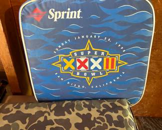 Super Bowl Seat Cushion 