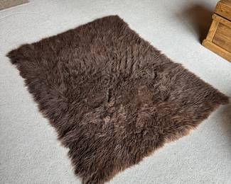 Shag Rug