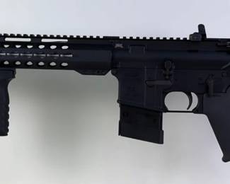 Palmetto State Armory PA-15 5.56 Nato Rifle SN# LW126084, 1/7 Freedom, Adjustable Stock