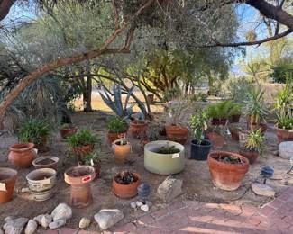 Huge collection of pottery with many having plants on both sides of sidewalk