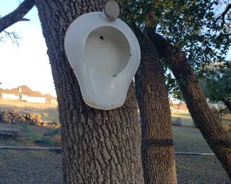 Bird House? 🤪🤣