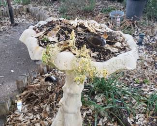 Birdbath 1 of 2