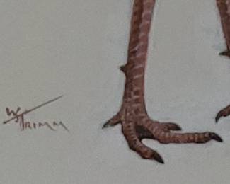 Wayne Trimm original artwork, paintings of the layers of a turkey, top to tail, muscles, bone, and organs. 