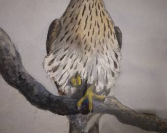 Hawk painting by
