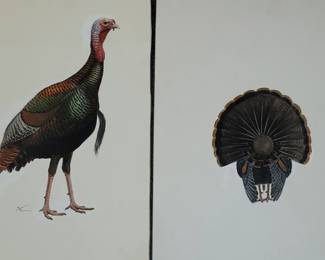 Wayne Trimm original artwork, paintings of the layers of a turkey, top to tail, muscles, bone, and organs. 