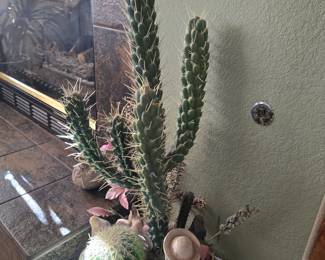 Cactus decor