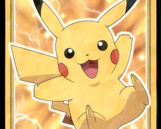 Pokemon Card
