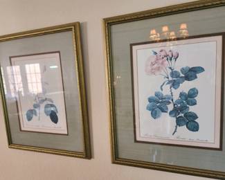 Botanical prints