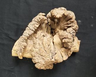 Lot # : 60 - Vintage burl wood wall art
