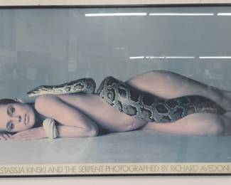 Lot # : 514 - Framed Richard Avedon poster
