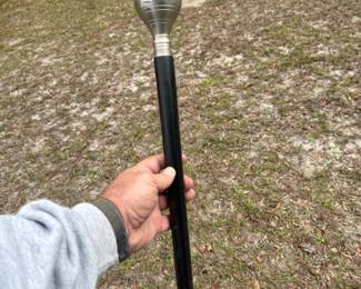 Walking stick
