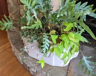 Glazed Jardinière with plants