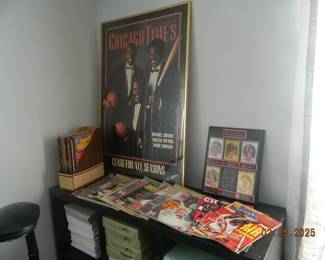 Chicago Bulls/Jordan