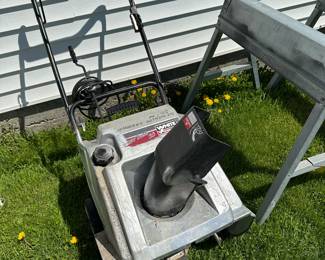 Even though it’s sitting in the sun with dandelions and green grass, this snowblower is a reminder that in Michigan it may be needed tomorrow! Lol