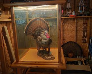 Here he is and all his lighted glory.