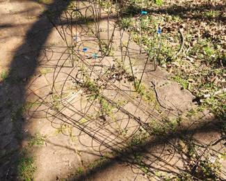 Plant srands, tomato cages