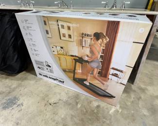 Treadmill/Walking Pad Orlando Estate Auction