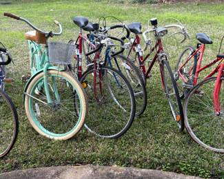 Variety of bicycles