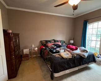 Downstairs Master Bedroom