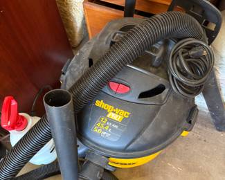 Wet, dry vacuum