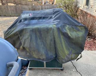 Weber grill