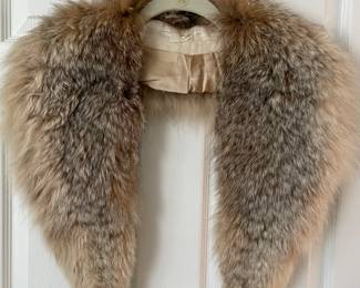Consigned.   Fur collar from coat. $50