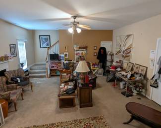 Coffee table, rug runner, Palm Tree Print Art