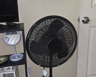 Fan