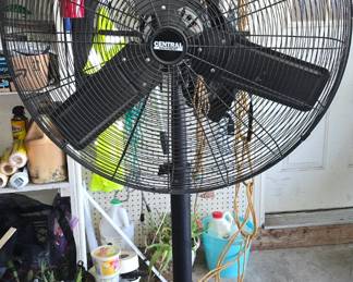Large Central Fan