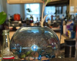 Cool Mushroom Planter