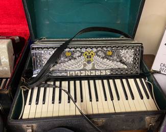 Serenely Accordian 